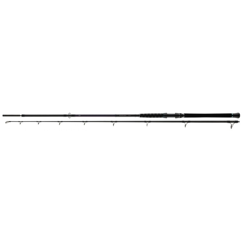 Сомска въдица - Daiwa Powermesh Catfish - 3.00m / 150-500gr