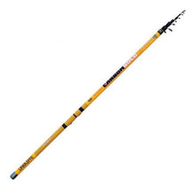 Bolognese lansetă Lineaeffe CARBON BOLO 6.00 m/ 25 g