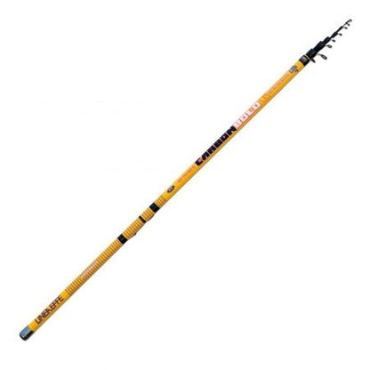 Bolognese καλάμι Lineaeffe CARBON BOLO 6.00 m/ 25 g