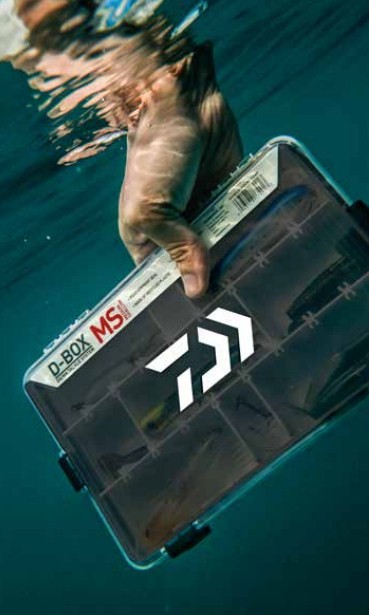 Box for fishing accessories D-BOX SS/SR/SD TACKLE SYSTEM