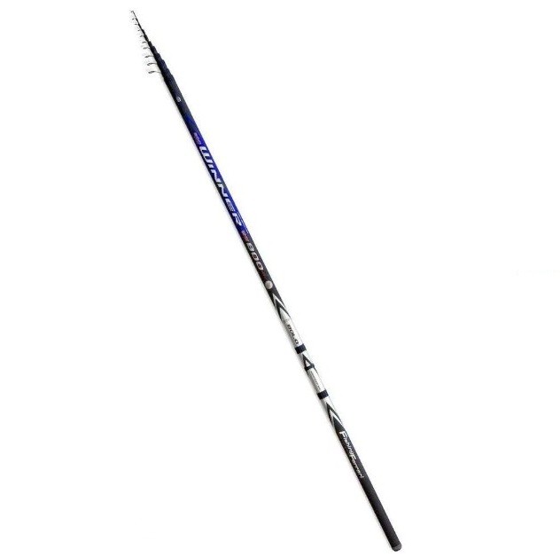 Bolognese Lineaeffe FF WINNER SW BOLO - 6.00 m/20 g