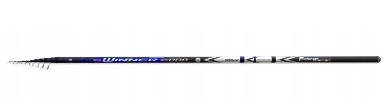 Bolognese Lineaeffe FF WINNER SW BOLO - 6.00 m/20 g