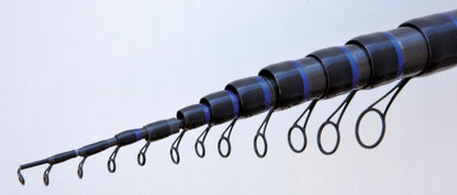 Bolognese Lineaeffe FF WINNER SW BOLO - 6.00 m/20 g