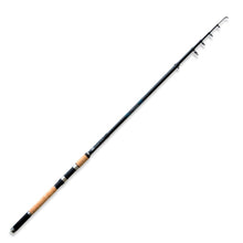 Telescopic rod Lineaeffe PIKE TELESPIN 3.30m / 40-80gr