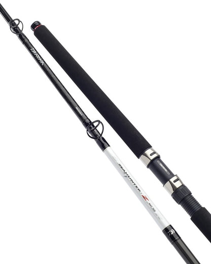Sea rod for fishing from boat DAIWA SEAHUNTER Z BOAT