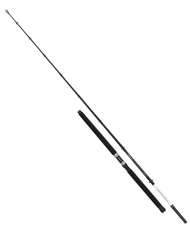 Sea rod for fishing from boat DAIWA SEAHUNTER Z BOAT