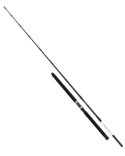 Sea rod for fishing from boat DAIWA SEAHUNTER Z BOAT