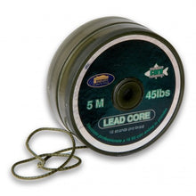 Leadcore лидер Lineaeffe Pro Team Carp - 5 метра