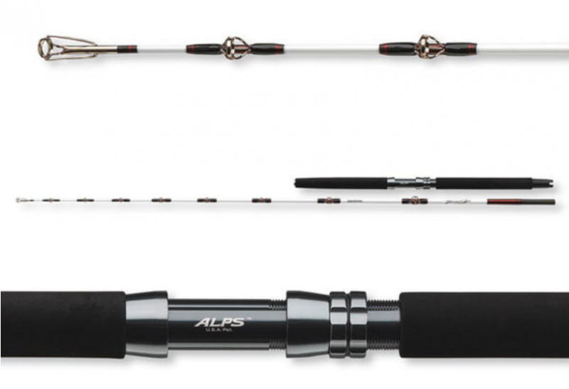 Sea fishing rod Daiwa TANACOM 2.10m/400-1000gr