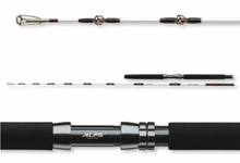 Въдица за морски риболов Daiwa TANACOM 2.10m/400-1000gr