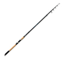 Telescopic rod Lineaeffe PIKE TELESPIN 3.60m / 40-80gr