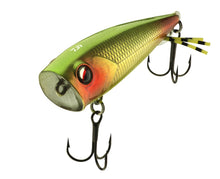 Popper DAIWA PROREX CHINING BUG 55F - 7cm/12.9gr