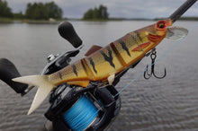 Хибридна примамка DAIWA PROREX HYBRID SWIMBAIT 250SF - 25cm/125gr