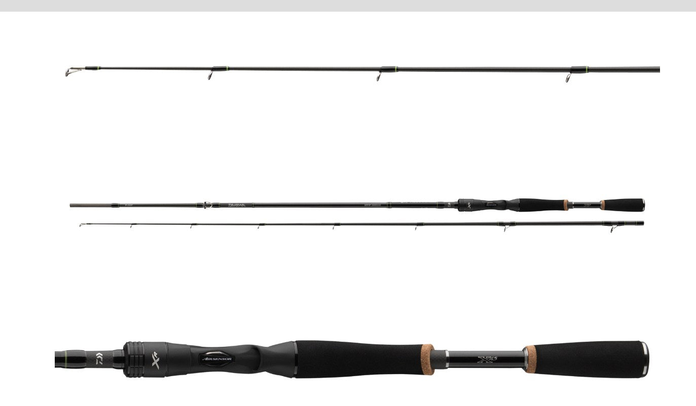 Casting spinning rods Daiwa 24 PROREX XR BAITCAST - 2.10/2.40m