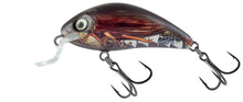 Wobbler SALMO Rattlin’ Hornet Shallow - 4.5cm/5.5gr