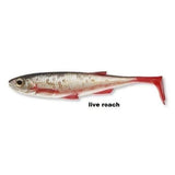 live roach