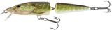 RPE