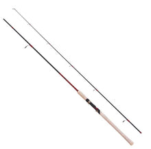 Καλάμι spinning JINTAI MASTER UL 2.40m / 2-10gr
