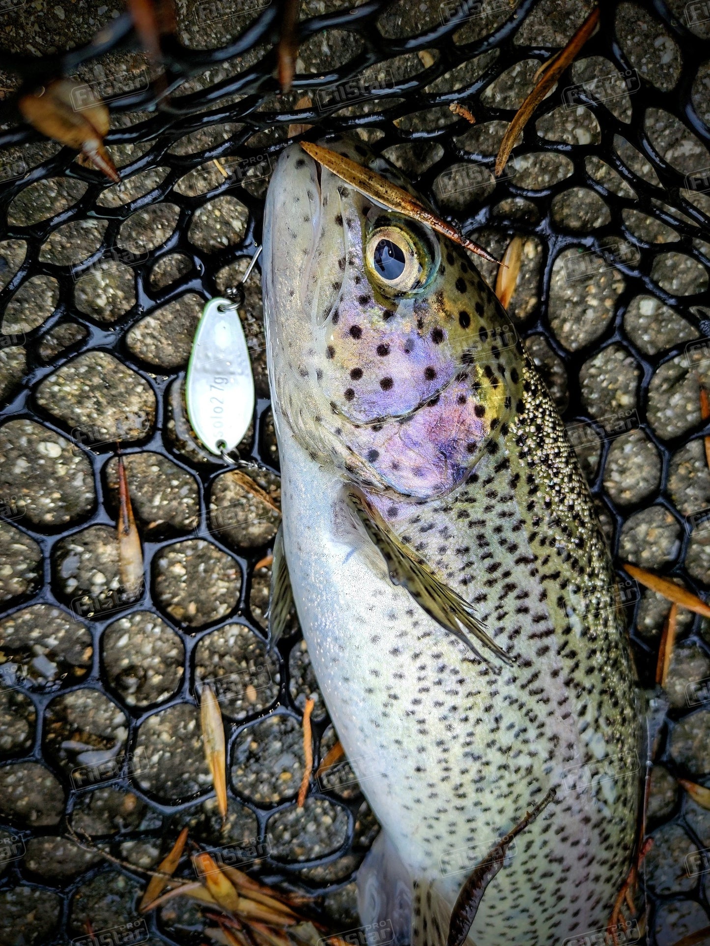 Micro oscilanta Sea Buzz Area Solo - 32 mm/2.7 g