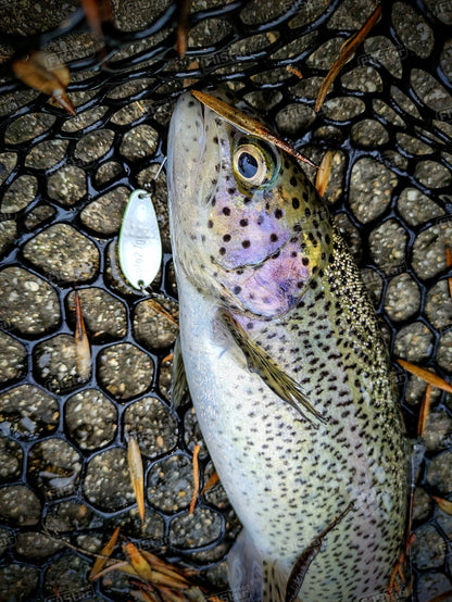 Micro oscilanta Sea Buzz Area Solo - 32 mm/2.7 g