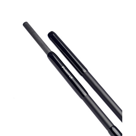 Carp rod DAIWA '21 INFINITY ALPS X45 3.66m (12') / 3.25lb