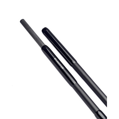 Carp rod DAIWA '21 INFINITY ALPS X45 3.66m (12') / 3.25lb