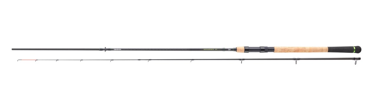 Καλάμι spinning DAIWA 25 MEGAFORCE CATFISH BAITFISH - 2.70m/120gr