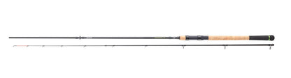 Καλάμι spinning DAIWA 25 MEGAFORCE CATFISH BAITFISH - 2.70m/120gr
