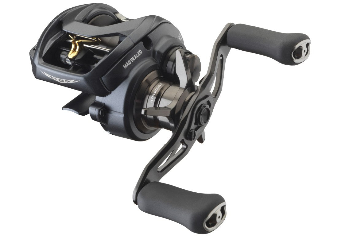 Бейткастинг катушка DAIWA STEEZ A II TW BAITCASTING