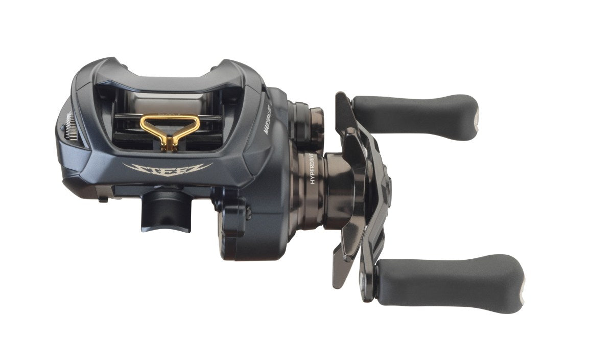 Бейткастинг катушка DAIWA STEEZ A II TW BAITCASTING