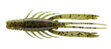 SUMMER CRAW