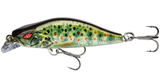 Live Brown Trout