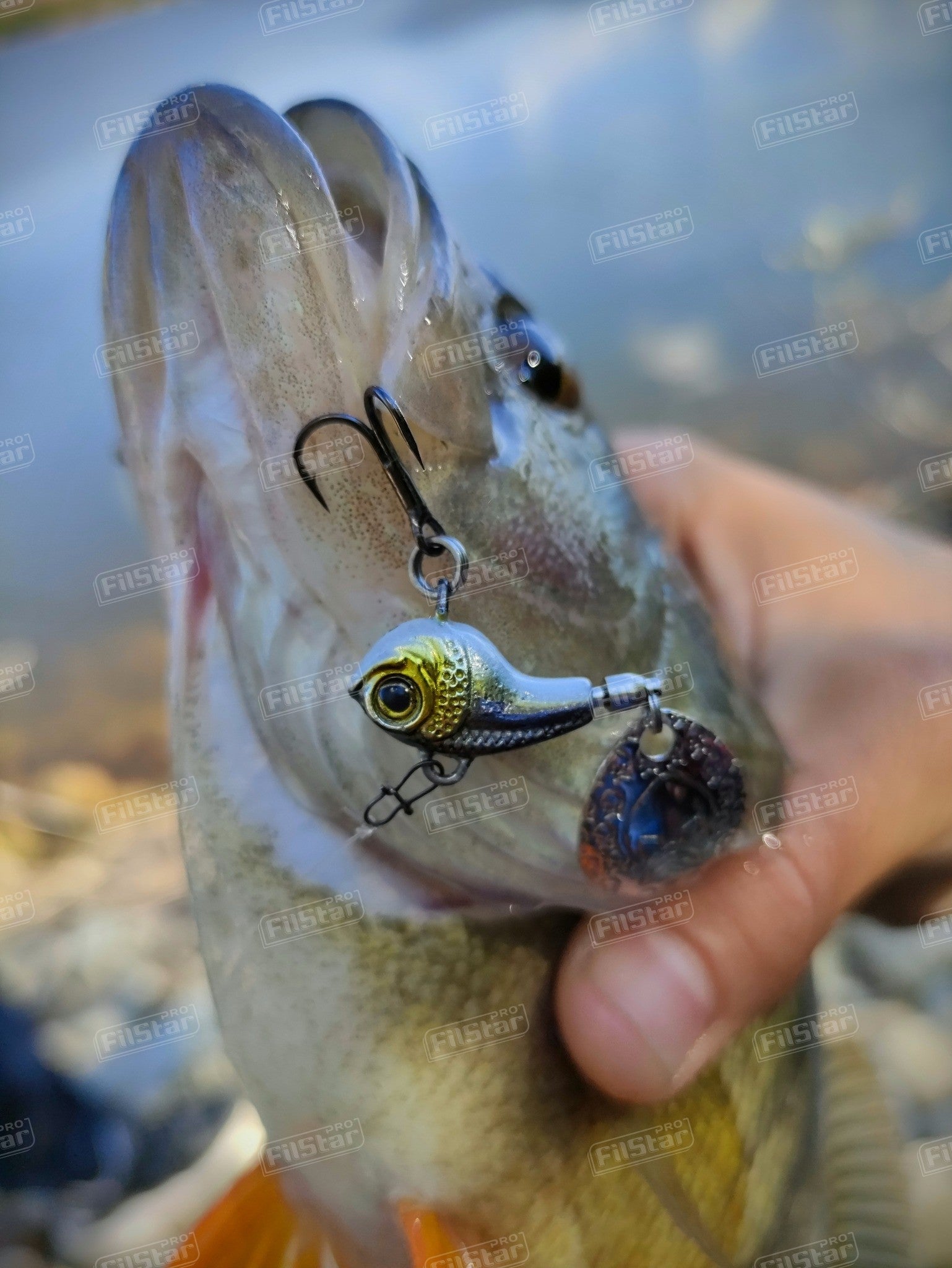 Спинер Westin DropBite Tungsten Spin Tail Jig на хваната риба с мощен връх и ярки цветове