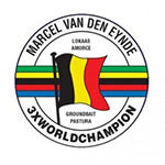 Van Den Eynde logo