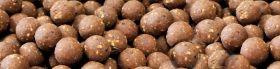 DYNAMITE BAITS Complex-T Boilies - 20мм / 1кг