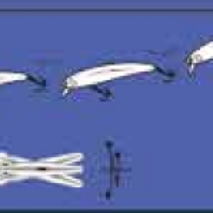 Морски воблер Nomura TAKASHI 14.7cm/27gr - floating